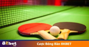 Các loại kèo cược bóng bàn phổ biến trên 8KBET