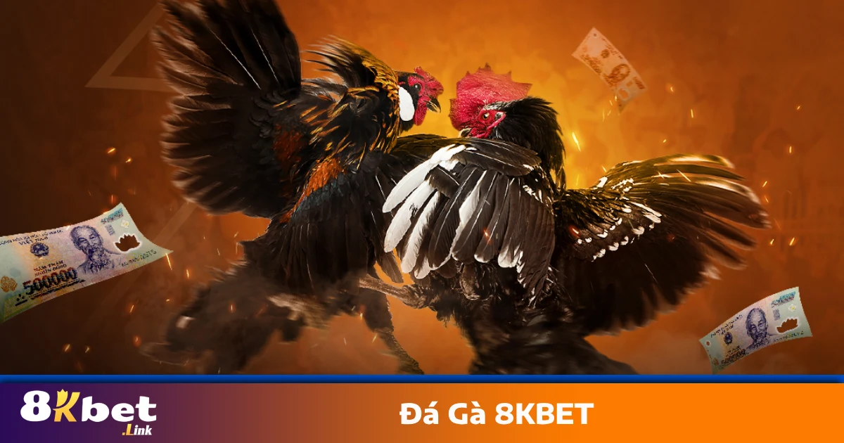 Đá Gà 8KBET – Nổ Kèo Nhanh, Thắng Lớn Mỗi Ngày 4 Cách Đặt Cược Đá Gà 8KBET Để Không Bị Thua Oan
