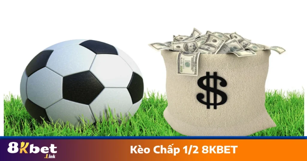 Khi trận đấu hòa – Mất toàn bộ tiền cược